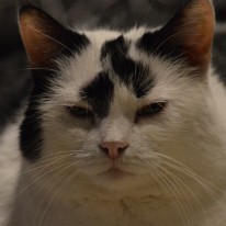 DSC_1848
