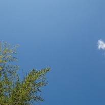 Cloud DJI (3) Type=N, Mode=P, DE=None