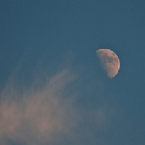 DSC_0722_2 Moon / Lune