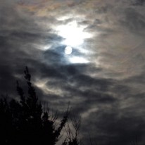 DSC_1470_2