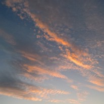 WP_20191029_17_38_34_Pro