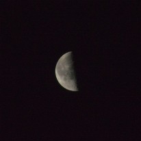 DSC_0075_2