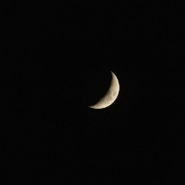 DSC_0624_2 Lune / Moon