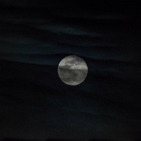 DSC_4052_2