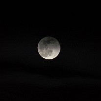 DSC_4055_2