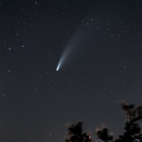 DSC_7513_4 Comète C/2020 F3 (Neowise)