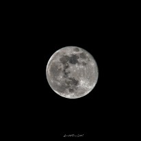 FAN_0197