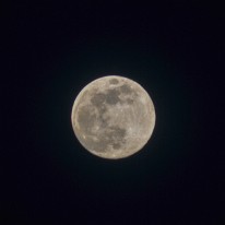 FAN_0536-2