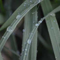 DSC_1765