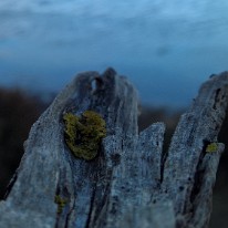WP_20200110_15_20_51_Pro_2