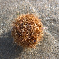 WP_20200123_15_25_25_Pro