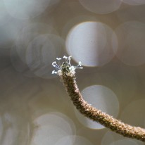 F02_9515