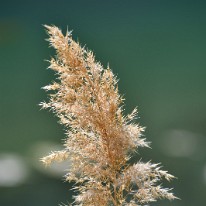 L03_8464
