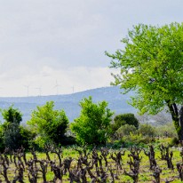 DSC_3465-HDR