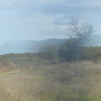 DSC_1965