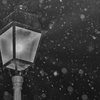 DSC_3601 (4) Neige - Sigean, le 2 janvier 2020