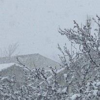 Snow 2010 (11)