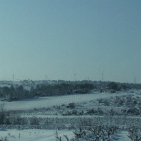 Snow 2010 (12)