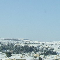 Snow 2010 (13)