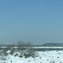 Snow 2010 (15)