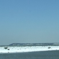 Snow 2010 (17)