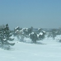 Snow 2010 (18)