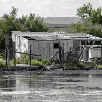 DSC_6068