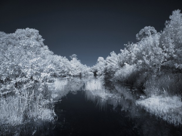 Infrared Infrarouge