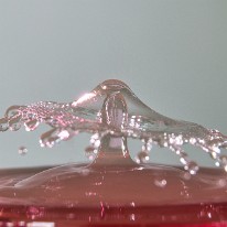 DSC_4338