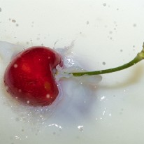 L04_0669