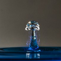 L04_3252 (1)