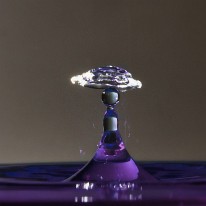 L04_3289 (1)